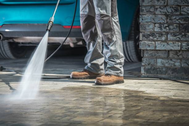 Best Driveway Pressure Washing  in Riverside, AL
